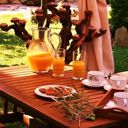 Villa Eleon *