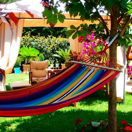 Eleon * Lefkada City